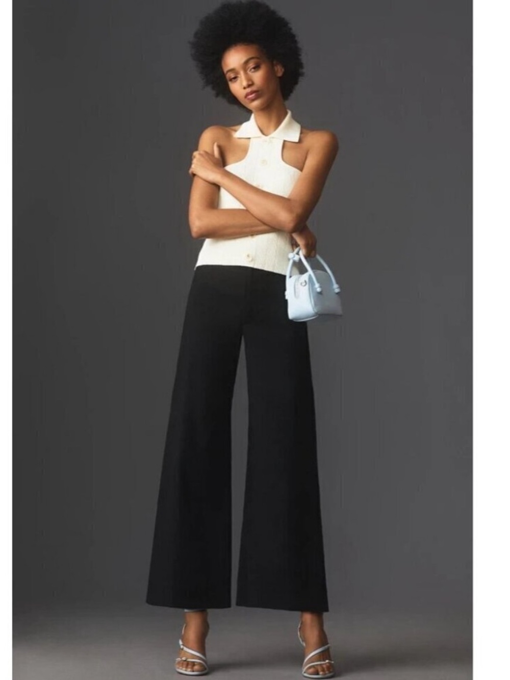 Anthopologie Maeve The Ettie Wide Leg Crop Black Pant 34